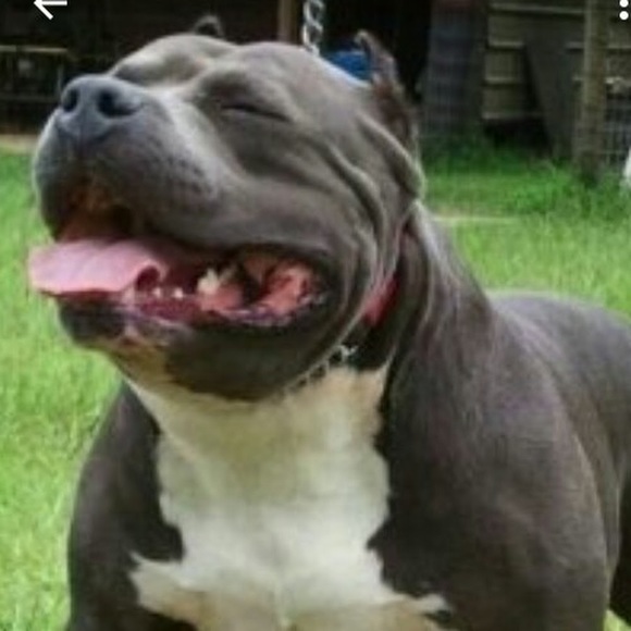 Meet your Posher,  - Picture 1 of 1